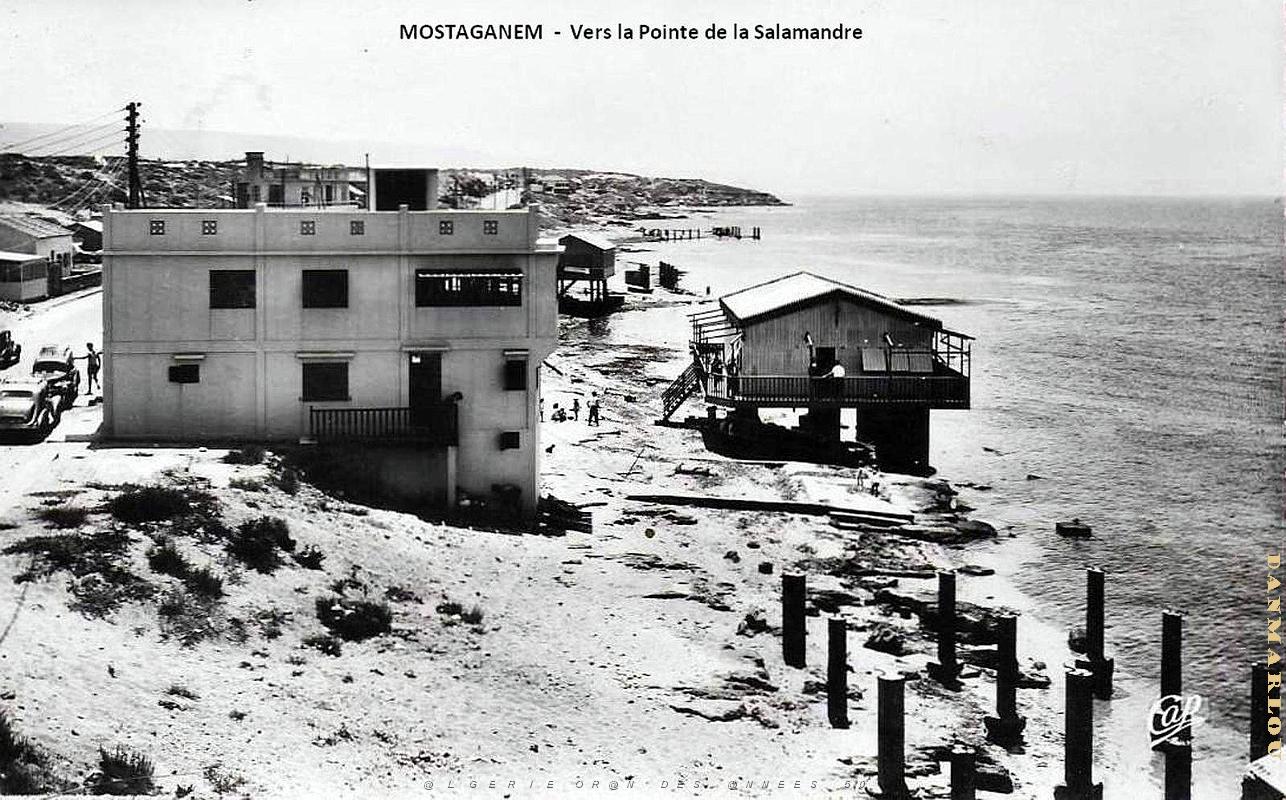 Mostaganem - Vue vers la Pointe de la Salamandre.jpg